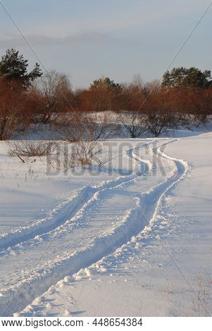 Car Track On A Snowy Field, Blue From The Shade In The Low Winter Sun, Leads To The Woods. Winter Ro