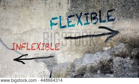 Street Sign The Direction Way To Flexible Versus Inflexible