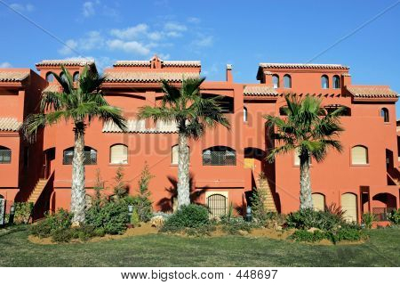 ปลาแซลมอนหรือสีส้มบนของสเปน