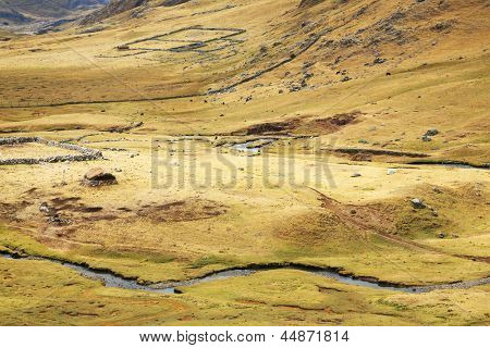 Får fold i Cordiliera Huayhuash, Peru, Sydamerika