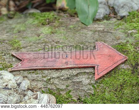 A Red Wooden Arrow Pointing To The Right Is Screwed To A Wide Muddy Tree Trunk. Full Screen Photo. S