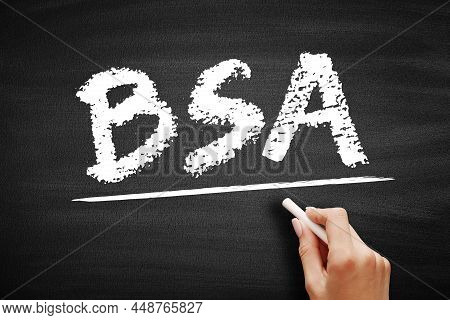 Bsa Body Surface Area - Measured Or Calculated Surface Area Of A Human Body, Acronym Text On Blackbo