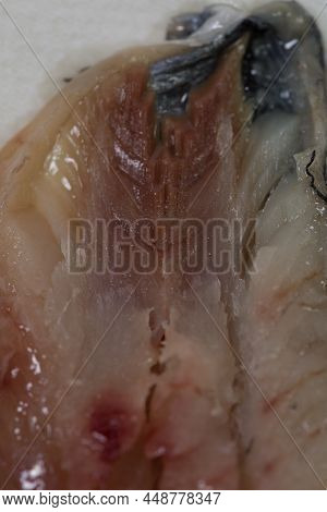 Meat And Bones Of Fresh Herring For A Delicious Dish, Carve Fish