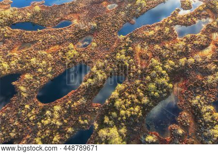 Swamp In Autumn Landscape. Wild Mire . Ecological Reserve In Wildlife. Marshland At Wild Nature. Swa