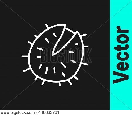 White Line Chestnut Icon Isolated On Black Background. Barbed And Strong Chestnut. Vector