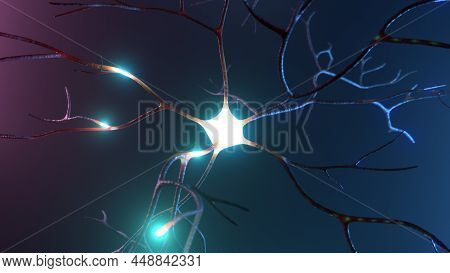 Neuron Signal Transfer From Low To High Activity