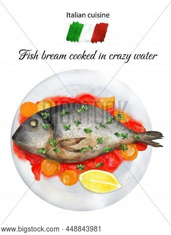 Delicious Fish Bream Cooked In Crazy Water- Acqua Pazza. Hand Painted Watercolor Hand Drawn Illustra