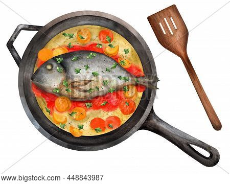 Fried Sea Bass In A Pan In Crazy Water- Acqua Pazza. Hand Painted Watercolor Hand Drawn Illustration