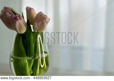 Bouquet Of Pink Tulips In Glass Vase On Wooden Table Near The Window