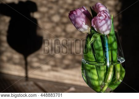 Bouquet Of Pink Tulips In Glass On The Background Of The Wall With Shadows
