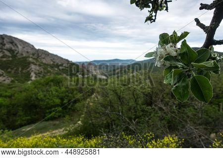View Of The Road In The Gorge Of The Echki-daga Mountain. Picturesque View Of The Crimean Mountains.