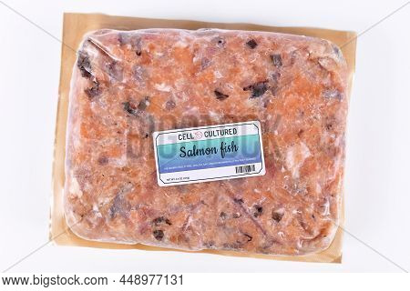 Lab Grown Cell Cultured Salmon Fish Concept For Artificial In Vitro Seafood Production With Frozen P