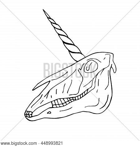 Vector Hand Drawn Doodle Sketch Unicorn Skull Isolated On White Background
