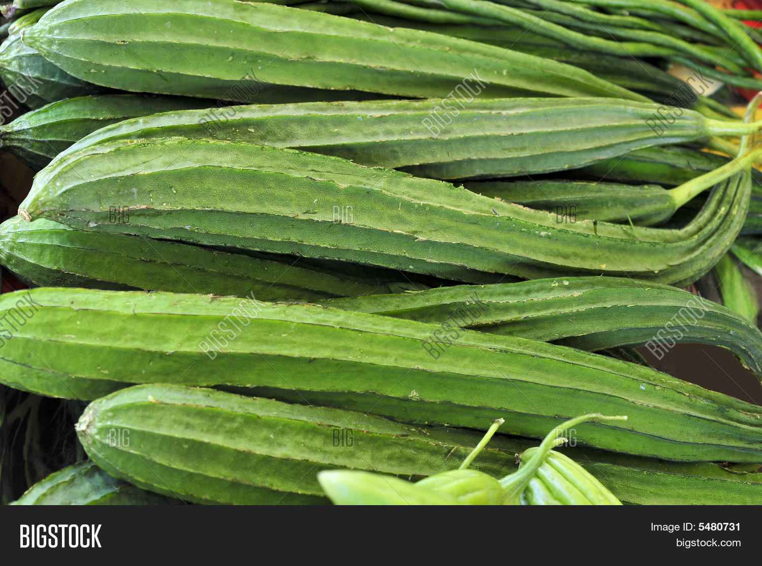 Chinese Okra Image & Photo (Free Trial) Bigstock