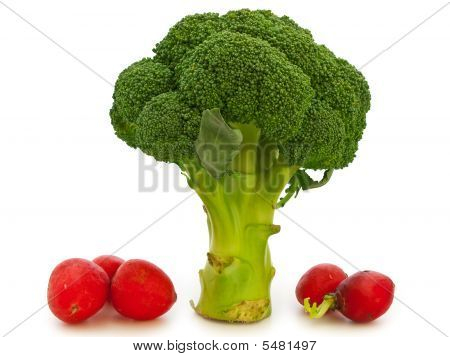 Vegetal