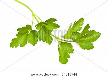 Parsley