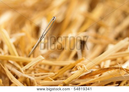 needle in a haystack