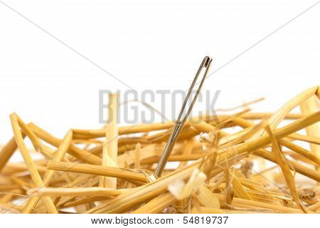 needle in haystack