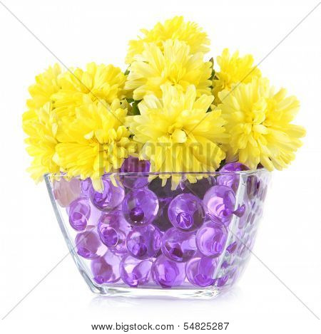 Beautiful flowers in vase with hydrogel isolated on white