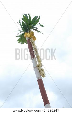 wooden pole with mango leaves