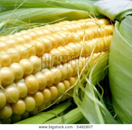 Gele maïs Backgropund