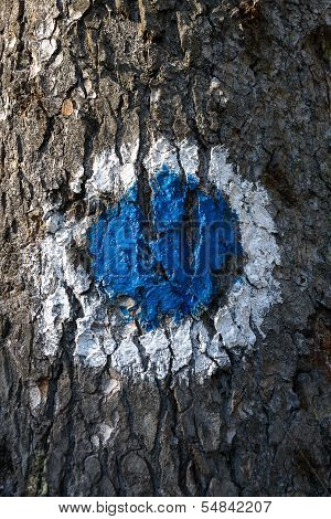 Tourist path mark on a tree