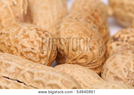 Background of some peanuts. Macro.
