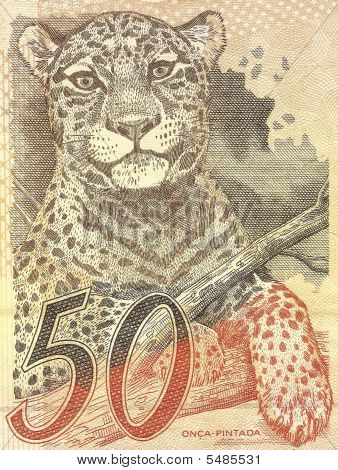 Moneybill Onca