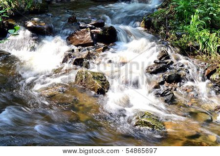 Wild Brook