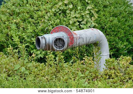 Fire  Hydrant In Plants