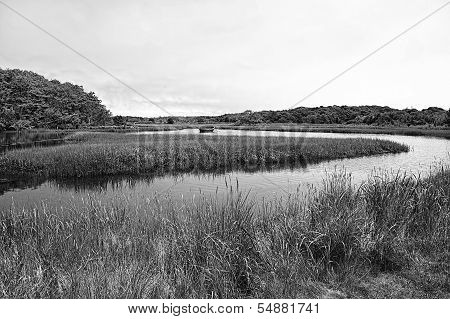 Rowboat in Marsh