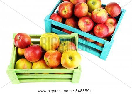Juicy apples in wooden boxes isolated on white