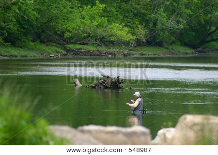 Línea de pescado desenredante