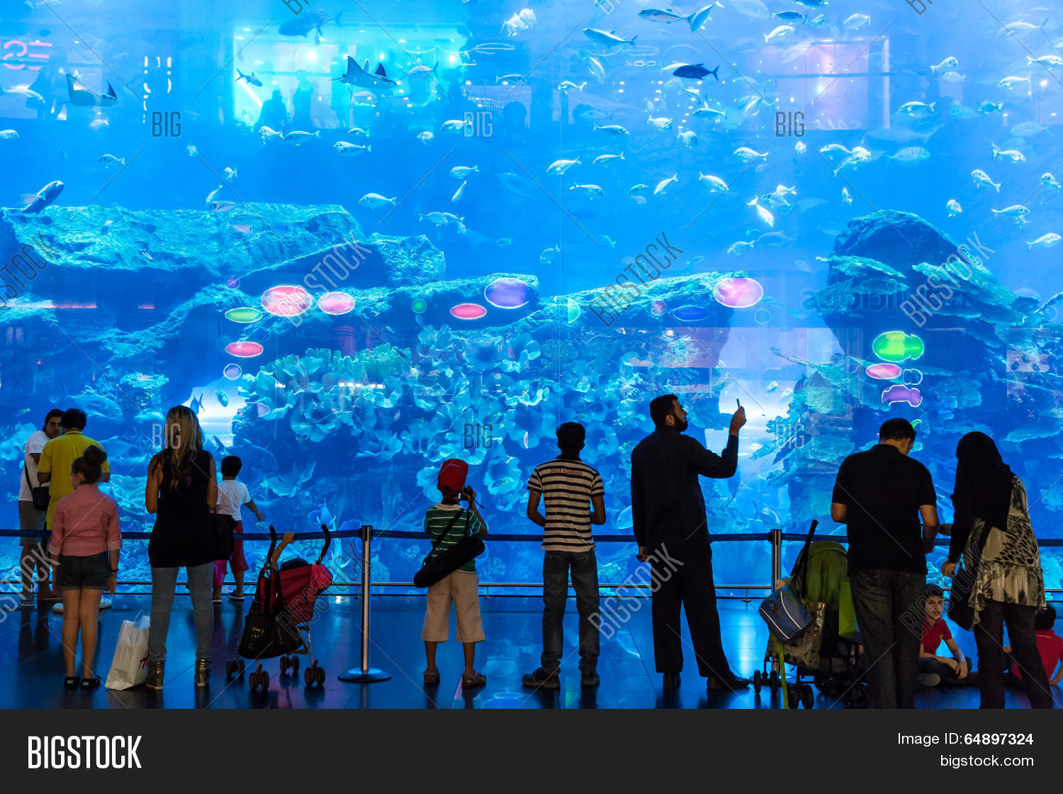 Largest Aquarium World Image & Photo (Free Trial) Bigstock