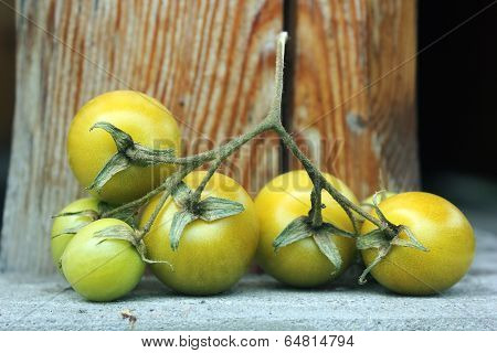 green tomatoes
