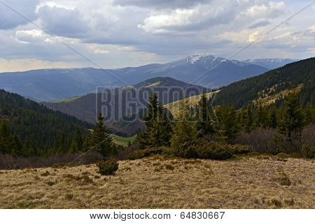 Mountain