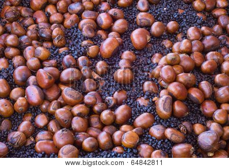 roasted chestnuts