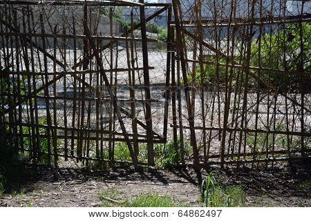 Bamboo Gate