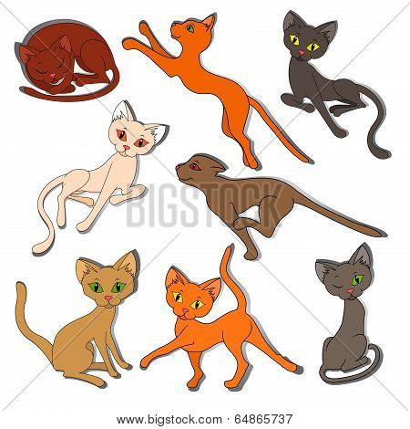 Eight Colorful Funny Cats On A White Background