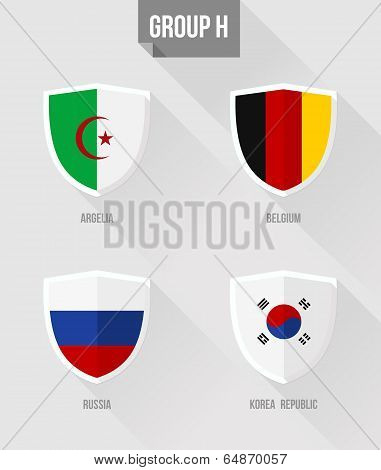 Brazil Soccer Championship 2014 Group H Flag Signs