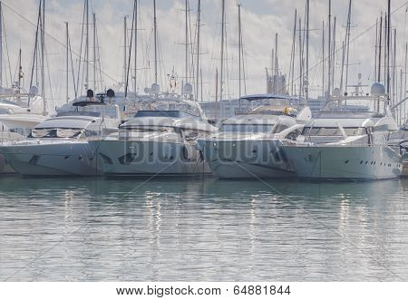 Yachts In Palma Marina
