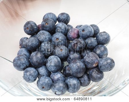 Blueberry Bowl