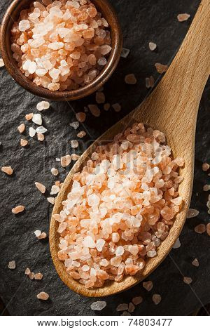 Raw Pink Himalayan Sea Salt