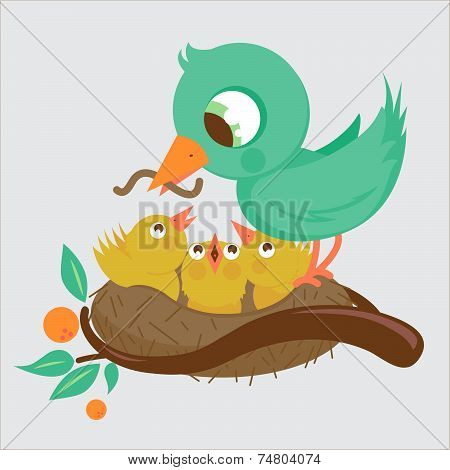 birds on nest feeding