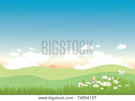 Spring and summer landscape