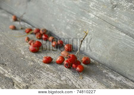 Desiccated Orange Berries On Wooden Table