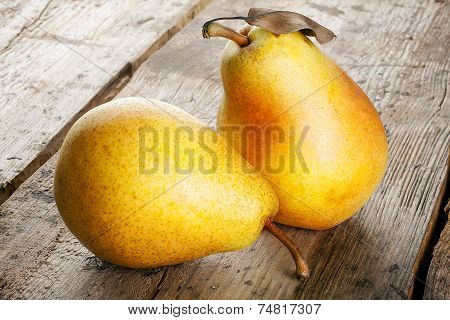Yellow ripe pear