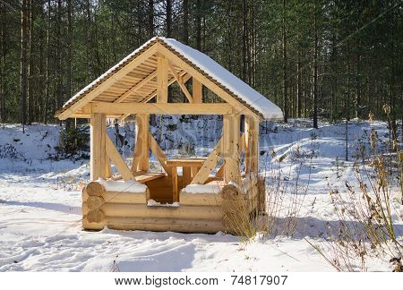 Roadside Arbor From The Rounded Log