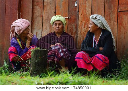 Hill Tribe