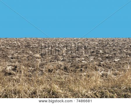 Farm field.